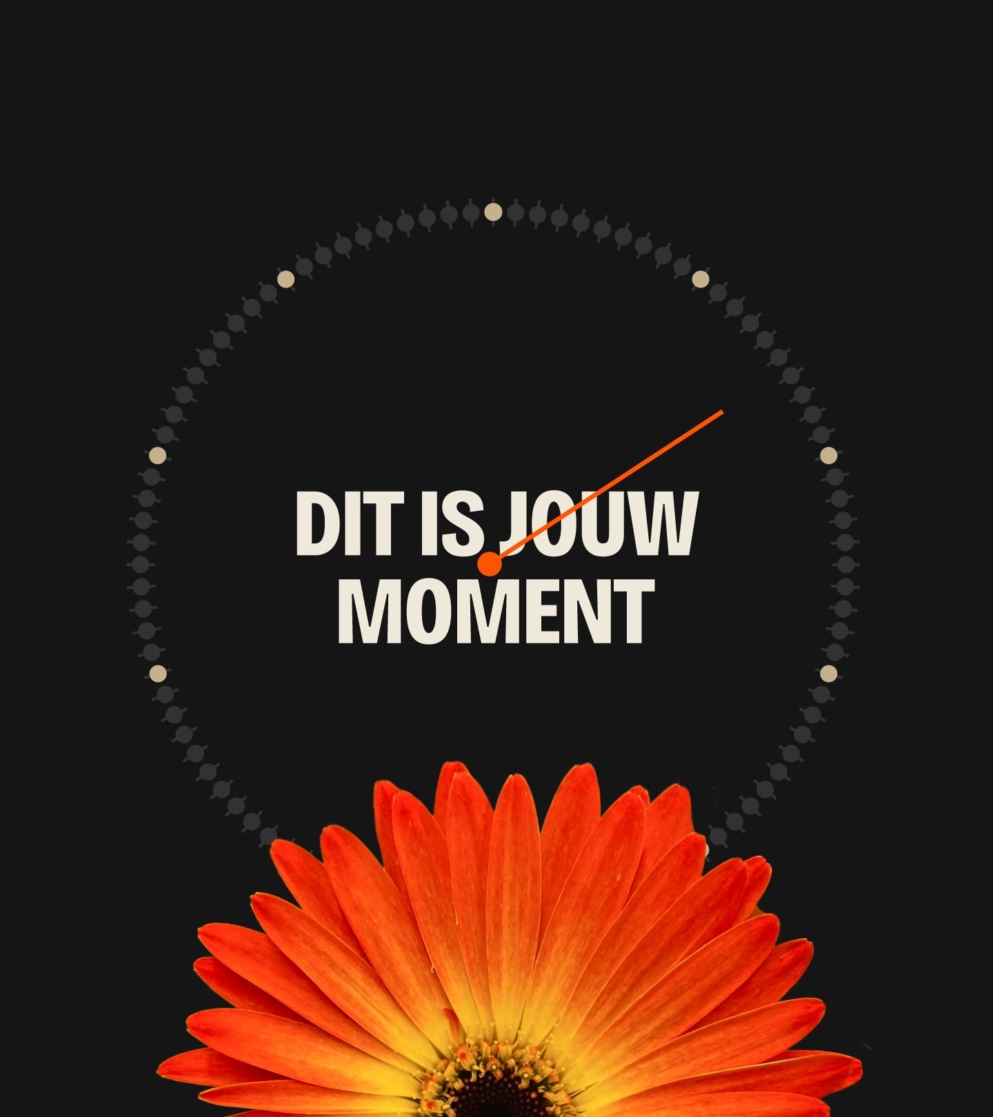 Duyvenvoorde Branding 07