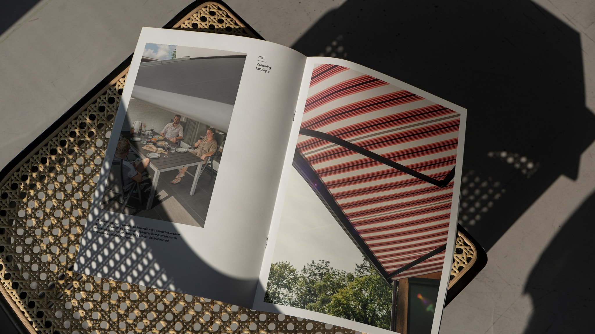 Zolare Branding 04