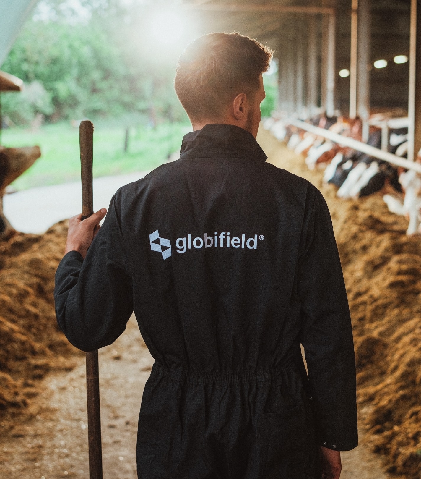 Globifield Branding 02